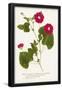 Essential Black