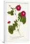 Gramercy White