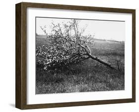 Nature Recovers 1917-Robert Hunt-Framed Photographic Print