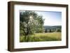 Nature Reserve, Hoherodskopf, Vogelsberg, Hessen, Germany-Ernst Wrba-Framed Photographic Print