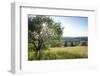 Nature Reserve, Hoherodskopf, Vogelsberg, Hessen, Germany-Ernst Wrba-Framed Photographic Print