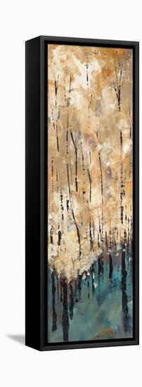 Nature's Abundance I-Luis Solis-Framed Stretched Canvas