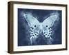 Nature's Angel II-Leda Robertson-Framed Art Print