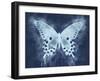 Nature's Angel II-Leda Robertson-Framed Art Print