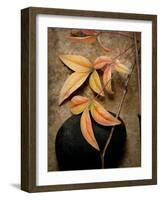 Nature's Balance-Julie Greenwood-Framed Premium Giclee Print