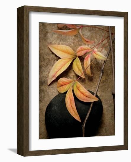 Nature's Balance-Julie Greenwood-Framed Premium Giclee Print