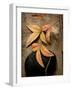 Nature's Balance-Julie Greenwood-Framed Premium Giclee Print