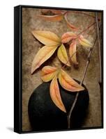 Nature's Balance-Julie Greenwood-Framed Stretched Canvas