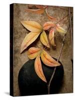 Nature's Balance-Julie Greenwood-Stretched Canvas