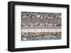 Nature's Beauty (after Van Gogh)-null-Framed Premium Giclee Print