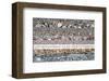 Nature's Beauty (after Van Gogh)-null-Framed Premium Giclee Print