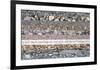 Nature's Beauty (after Van Gogh)-null-Framed Premium Giclee Print