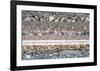 Nature's Beauty (after Van Gogh)-null-Framed Art Print