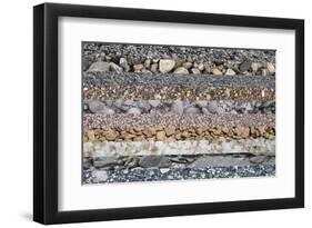 Nature's Beauty-null-Framed Art Print