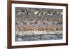 Nature's Beauty-null-Framed Art Print