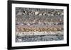 Nature's Beauty-null-Framed Art Print