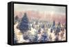 Nature's Beauty-Kelly Poynter-Framed Stretched Canvas