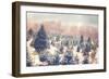 Nature's Beauty-Kelly Poynter-Framed Art Print