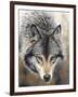 Nature's Beauty-Chuck Black-Framed Giclee Print