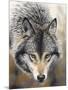 Nature's Beauty-Chuck Black-Mounted Giclee Print