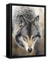 Nature's Beauty-Chuck Black-Framed Stretched Canvas