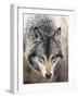 Nature's Beauty-Chuck Black-Framed Giclee Print