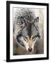 Nature's Beauty-Chuck Black-Framed Giclee Print