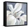 Nature's Beauty-Alex Black-Framed Stretched Canvas