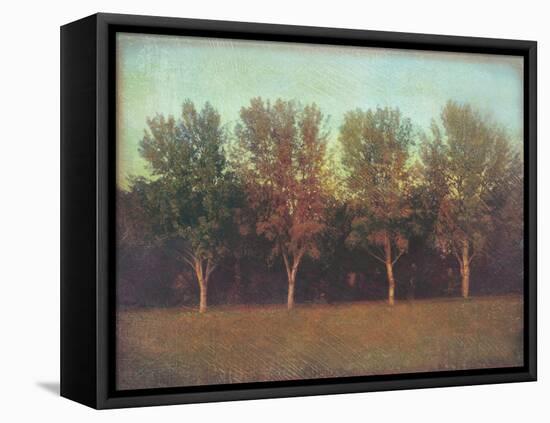 Nature's Bliss I-Amy Melious-Framed Stretched Canvas