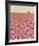 Nature's Blossoms-Joelle Wehkamp-Framed Giclee Print