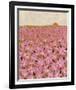 Nature's Blossoms-Joelle Wehkamp-Framed Giclee Print