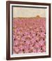 Nature's Blossoms-Joelle Wehkamp-Framed Giclee Print