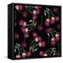 Nature’s Bounty - Cherries-Mindy Sommers-Framed Stretched Canvas