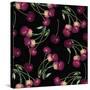 Nature’s Bounty - Cherries-Mindy Sommers-Stretched Canvas