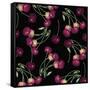 Nature’s Bounty - Cherries-Mindy Sommers-Framed Stretched Canvas