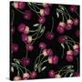 Nature’s Bounty - Cherries-Mindy Sommers-Stretched Canvas