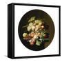 Nature's Bounty I-Severin Roesen-Framed Stretched Canvas