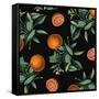 Nature’s Bounty - Oranges-Mindy Sommers-Framed Stretched Canvas