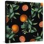 Nature’s Bounty - Oranges-Mindy Sommers-Stretched Canvas