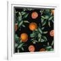 Nature’s Bounty - Oranges-Mindy Sommers-Framed Giclee Print