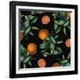 Nature’s Bounty - Oranges-Mindy Sommers-Framed Giclee Print