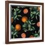 Nature’s Bounty - Oranges-Mindy Sommers-Framed Giclee Print