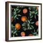 Nature’s Bounty - Oranges-Mindy Sommers-Framed Giclee Print