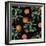 Nature’s Bounty - Oranges-Mindy Sommers-Framed Giclee Print