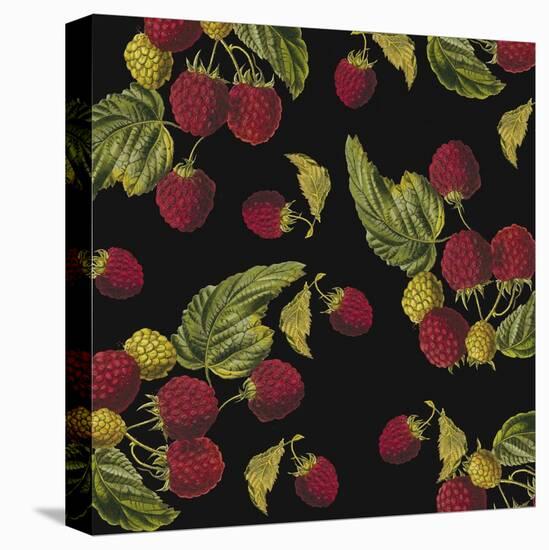 Nature’s Bounty - Raspberries-Mindy Sommers-Stretched Canvas