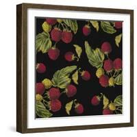 Nature’s Bounty - Raspberries-Mindy Sommers-Framed Giclee Print