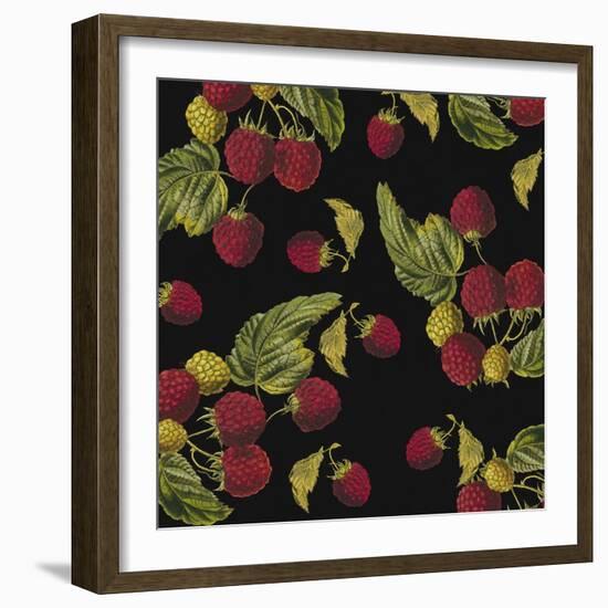 Nature’s Bounty - Raspberries-Mindy Sommers-Framed Giclee Print