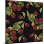 Nature’s Bounty - Raspberries-Mindy Sommers-Mounted Giclee Print