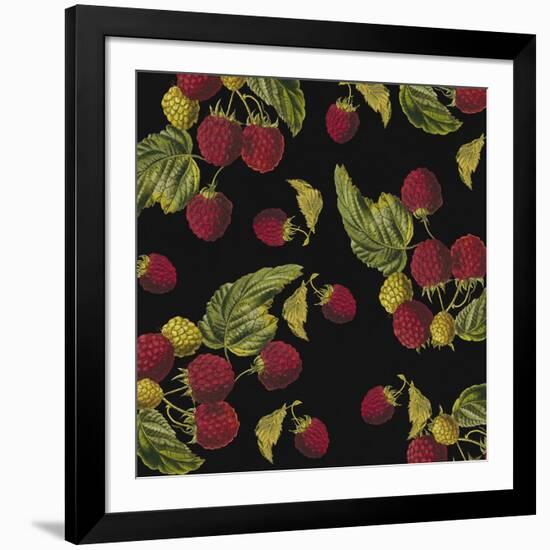 Nature’s Bounty - Raspberries-Mindy Sommers-Framed Giclee Print