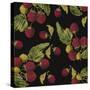 Nature’s Bounty - Raspberries-Mindy Sommers-Stretched Canvas